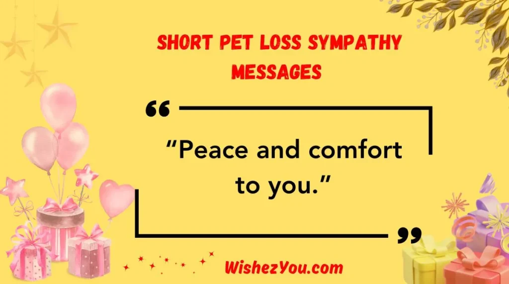  Short Pet Loss Sympathy Messages
